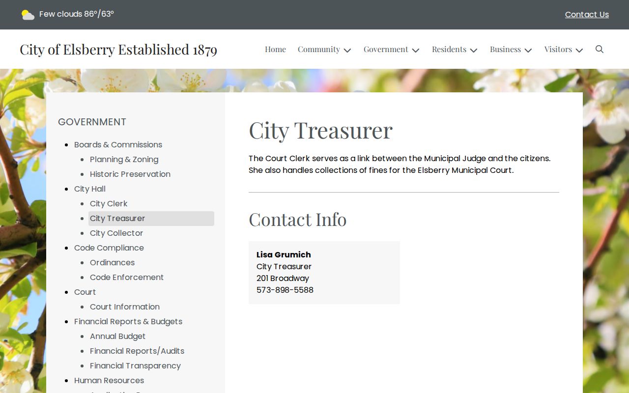 Elsberry court docket source for City Treasurer fine collection and court connection