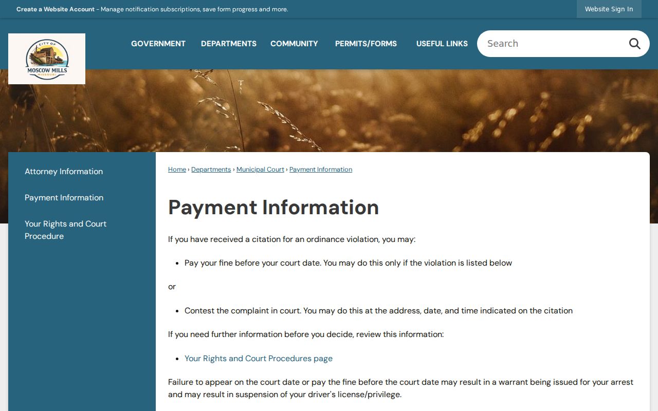 Moscow Mills official payment page with fine schedule examples and payment choices